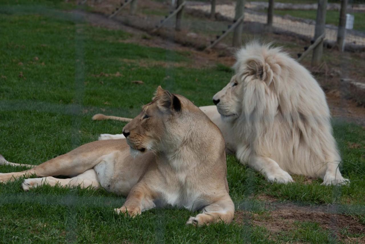 פלטנברג ביי Tenikwa Wildlife Centre & Spa מראה חיצוני תמונה