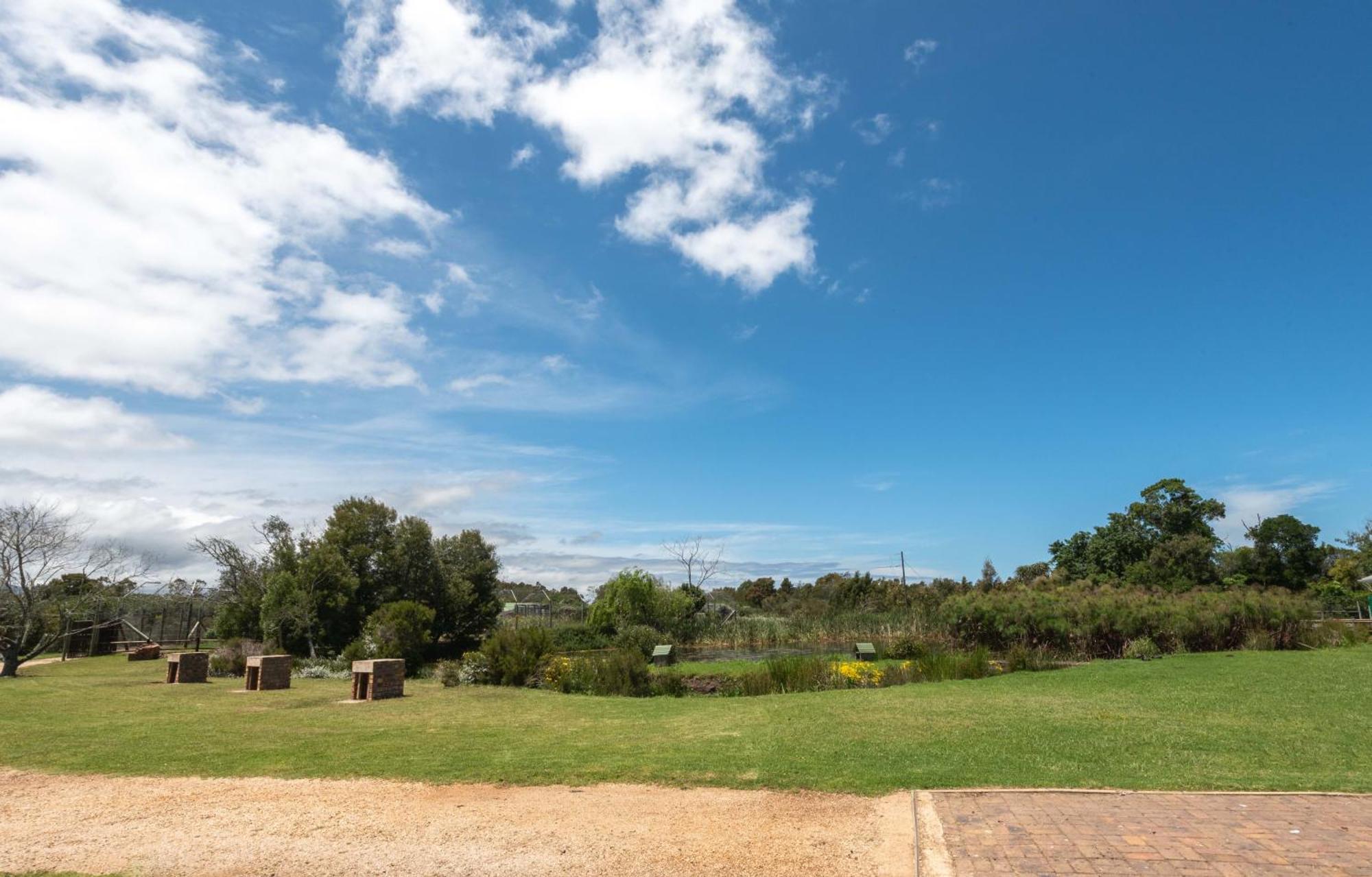 פלטנברג ביי Tenikwa Wildlife Centre & Spa מראה חיצוני תמונה